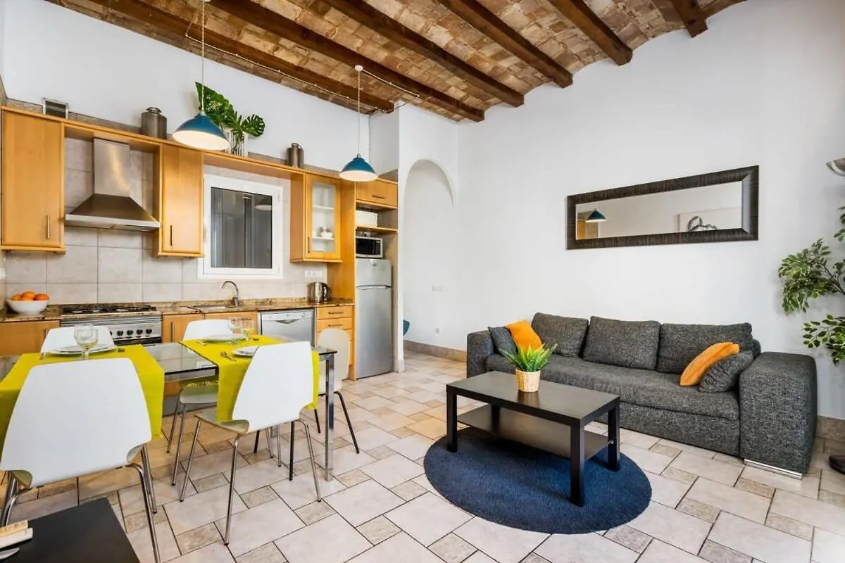 Historic Apartment With Private Terrace In Example Barcelona Spain